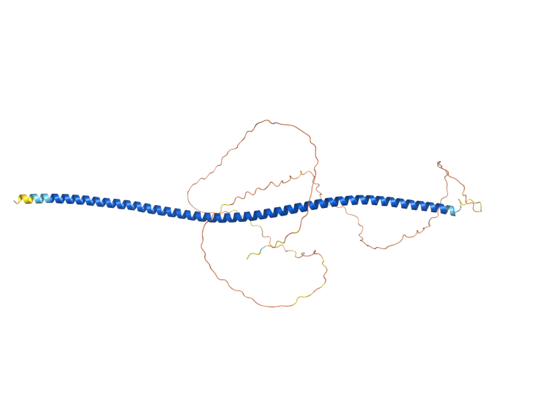 AlphaFold predicted structure of YAP6
