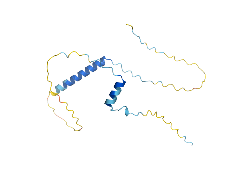 AlphaFold predicted structure of HED1