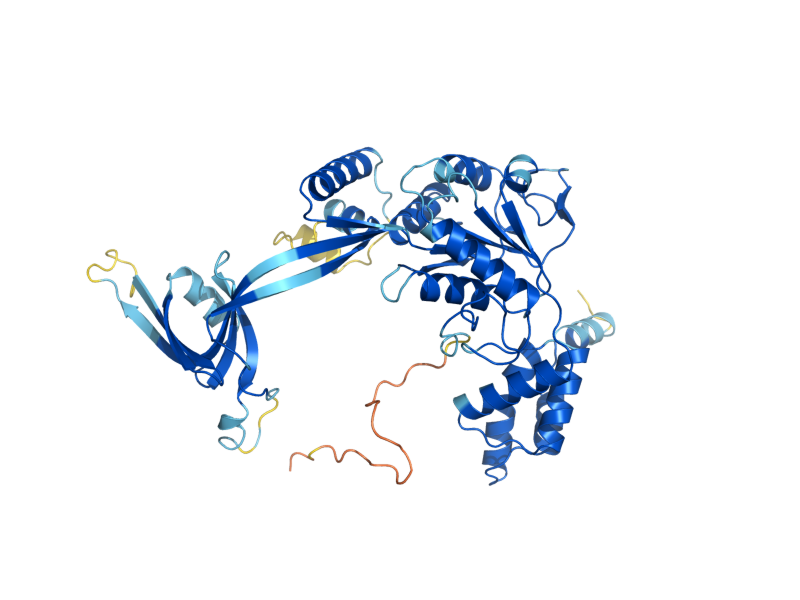 AlphaFold predicted structure of RVB1