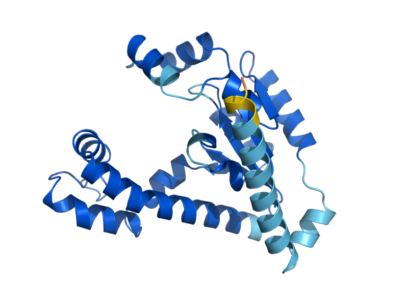 AlphaFold predicted structure of CAB5