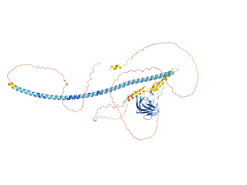 AlphaFold predicted structure of VPS64