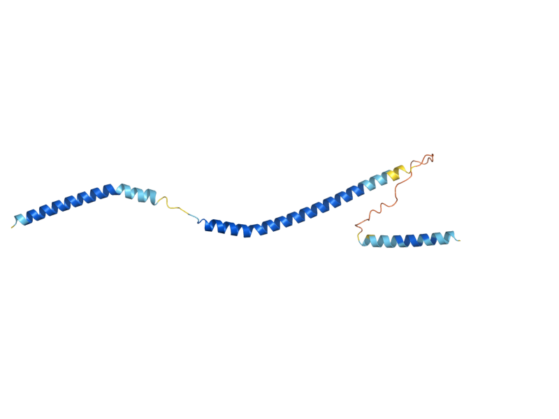 AlphaFold predicted structure of SPC19