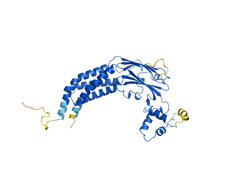 AlphaFold predicted structure of RAV2