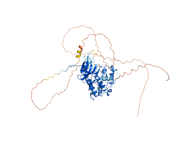 AlphaFold predicted structure of CTK1