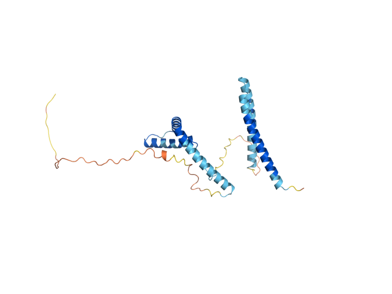 AlphaFold predicted structure of HMO1
