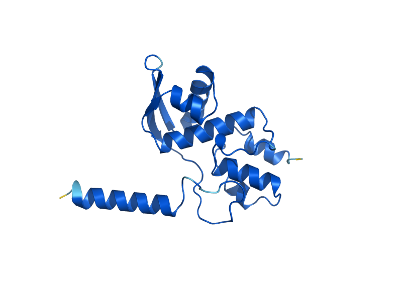 AlphaFold predicted structure of CSN9