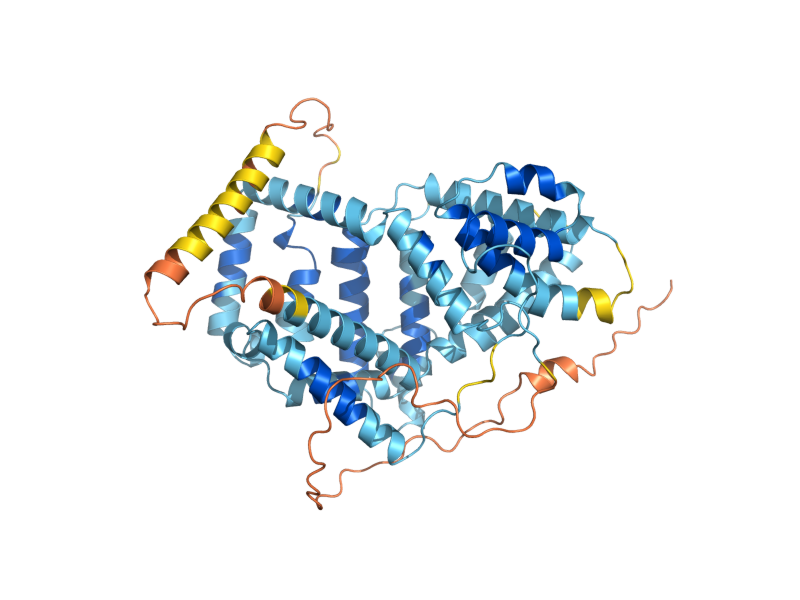 AlphaFold predicted structure of NVJ3
