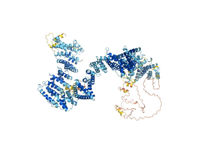 AlphaFold predicted structure of SCC2
