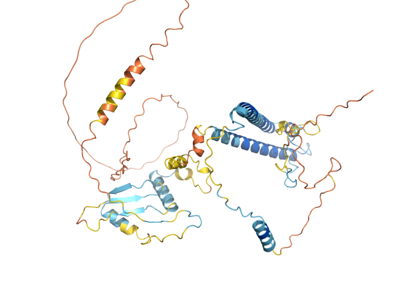AlphaFold predicted structure of SAS4