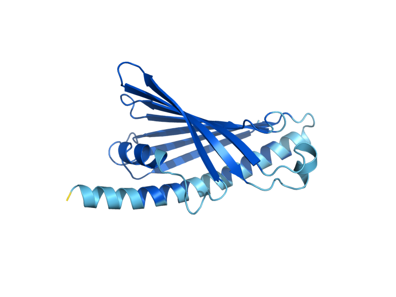 AlphaFold predicted structure of UPS3
