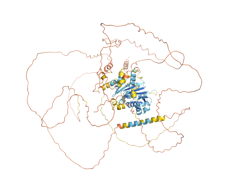 AlphaFold predicted structure of SND1