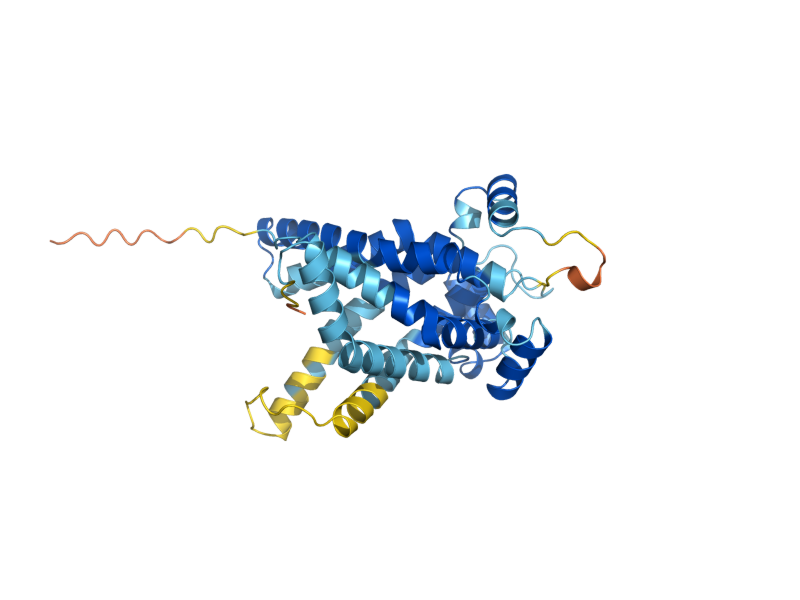 AlphaFold predicted structure of YHM2