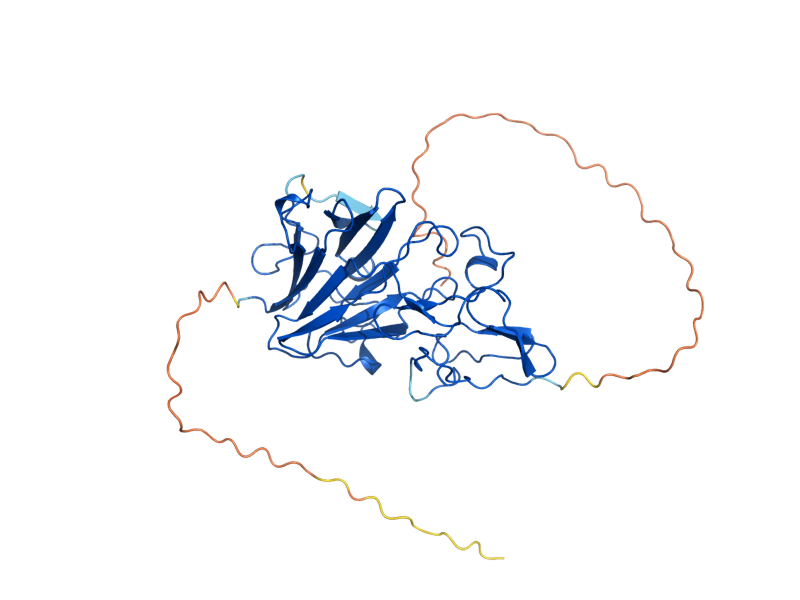 AlphaFold predicted structure of ADG3
