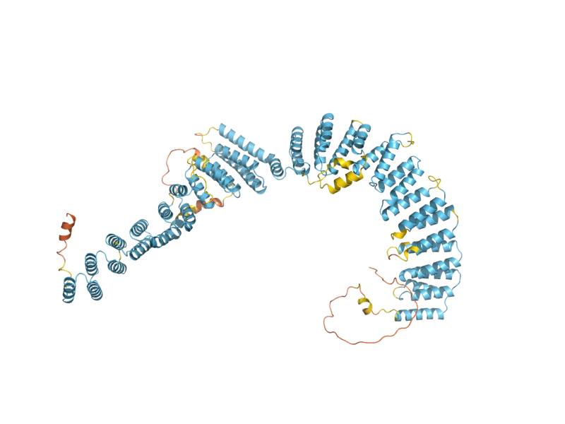 AlphaFold predicted structure of SYF1