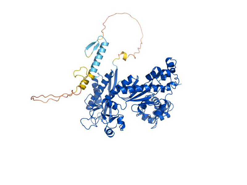 AlphaFold predicted structure of RAD30