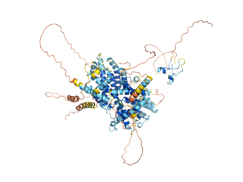 AlphaFold predicted structure of ARO80