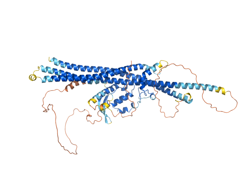 AlphaFold predicted structure of SNX41