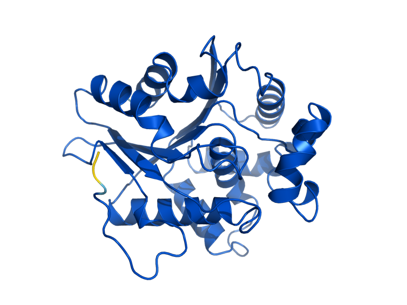 AlphaFold predicted structure of BNA7