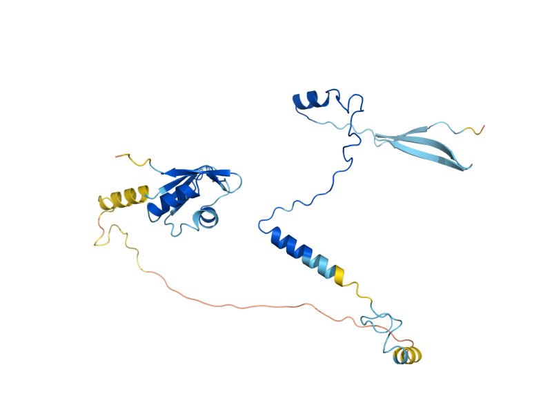 AlphaFold predicted structure of TIF35