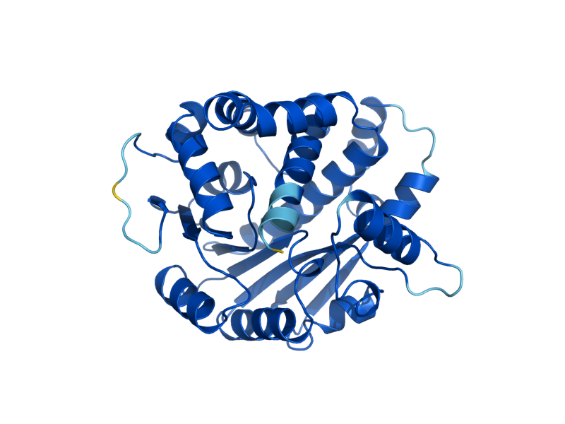 AlphaFold predicted structure of PPM1