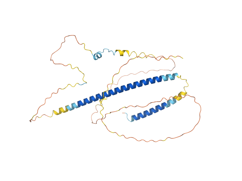 AlphaFold predicted structure of LRS4