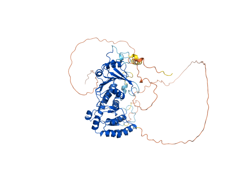 AlphaFold predicted structure of DOT1