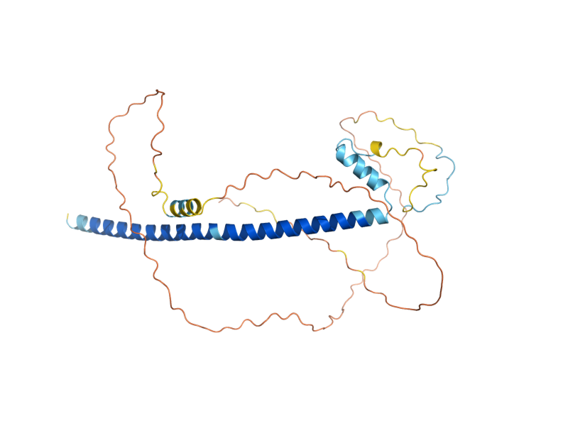 AlphaFold predicted structure of ECM11