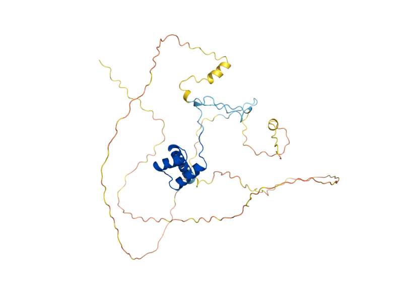 AlphaFold predicted structure of YHP1