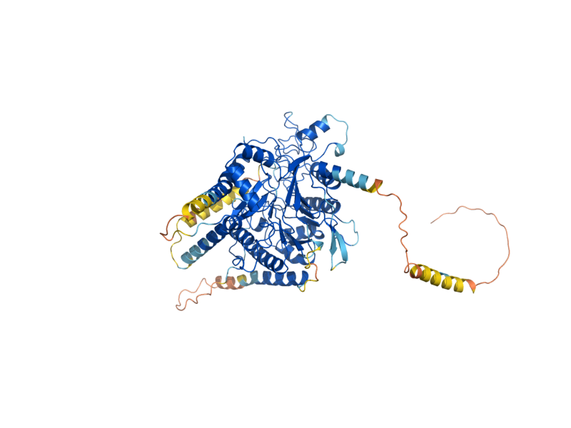 AlphaFold predicted structure of PPN1