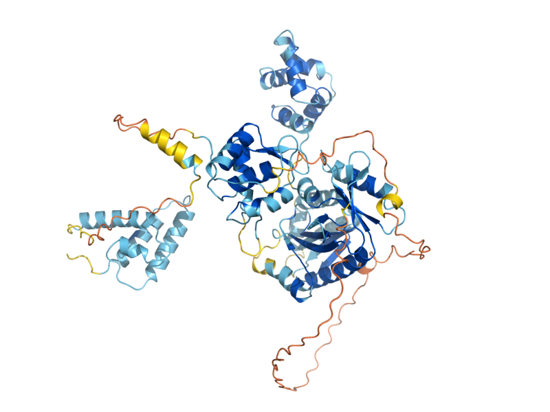 AlphaFold predicted structure of MUS81