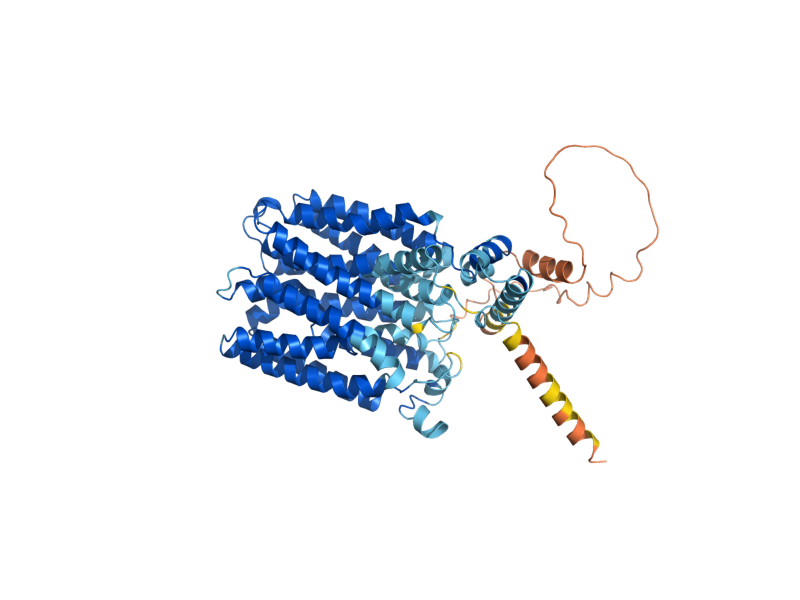 AlphaFold predicted structure of CIN10