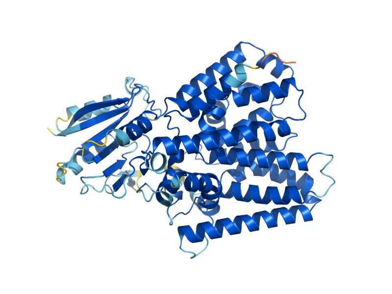AlphaFold predicted structure of SMP3