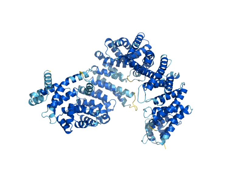 AlphaFold predicted structure of SXM1