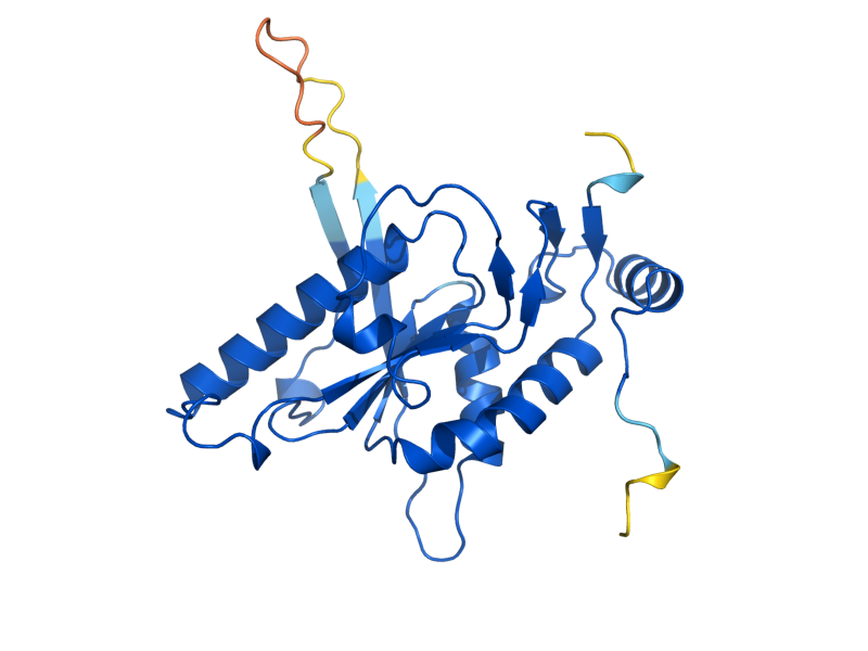 AlphaFold predicted structure of HPT1