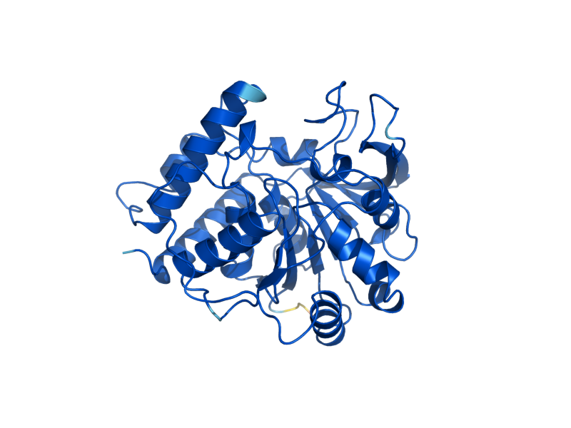 AlphaFold predicted structure of URH1