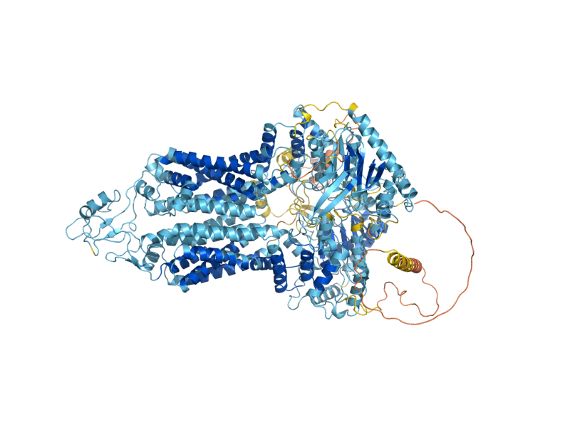 AlphaFold predicted structure of PDR15