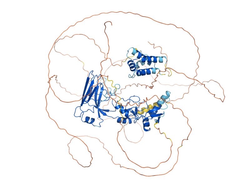 AlphaFold predicted structure of SIZ1