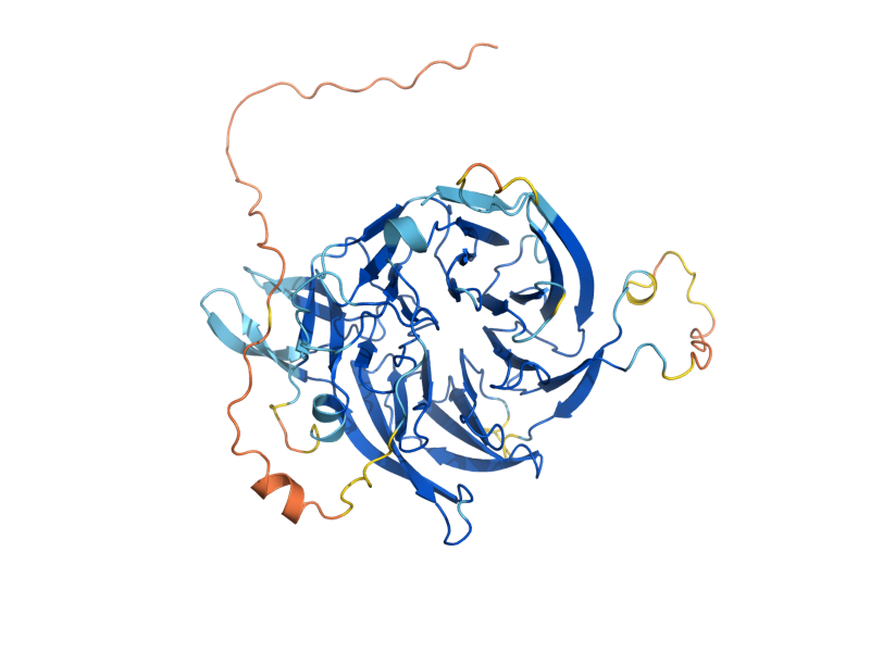 AlphaFold predicted structure of CAC2
