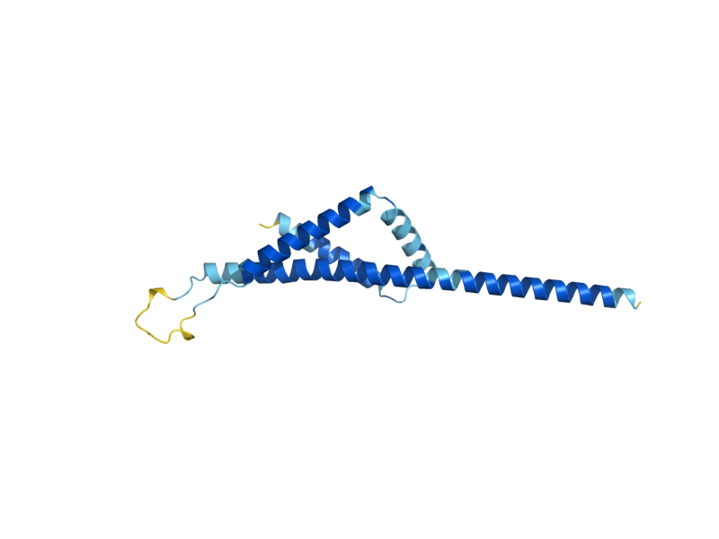 AlphaFold predicted structure of YET2