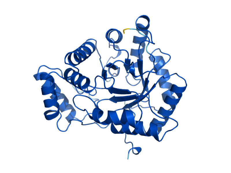 AlphaFold predicted structure of ARA2