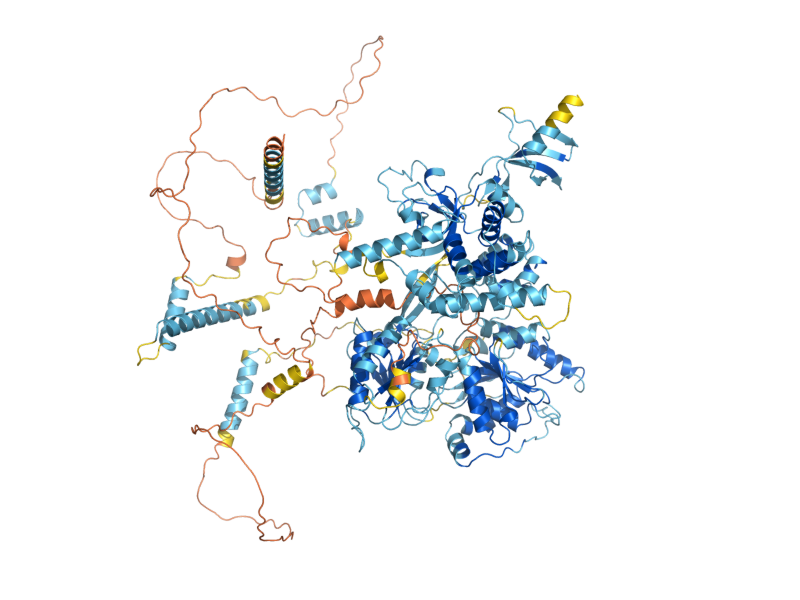 AlphaFold predicted structure of ECM16