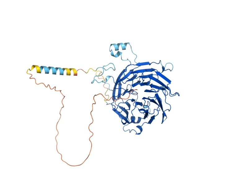 AlphaFold predicted structure of RRB1