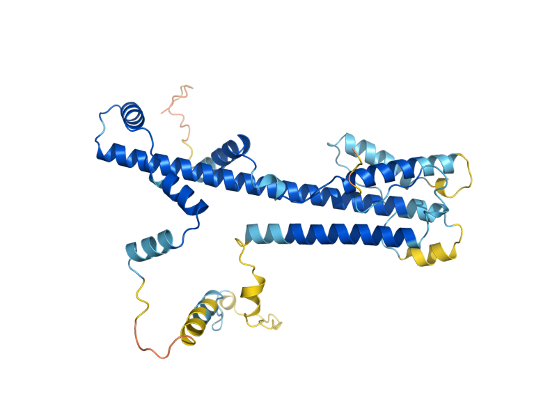 AlphaFold predicted structure of TAF11