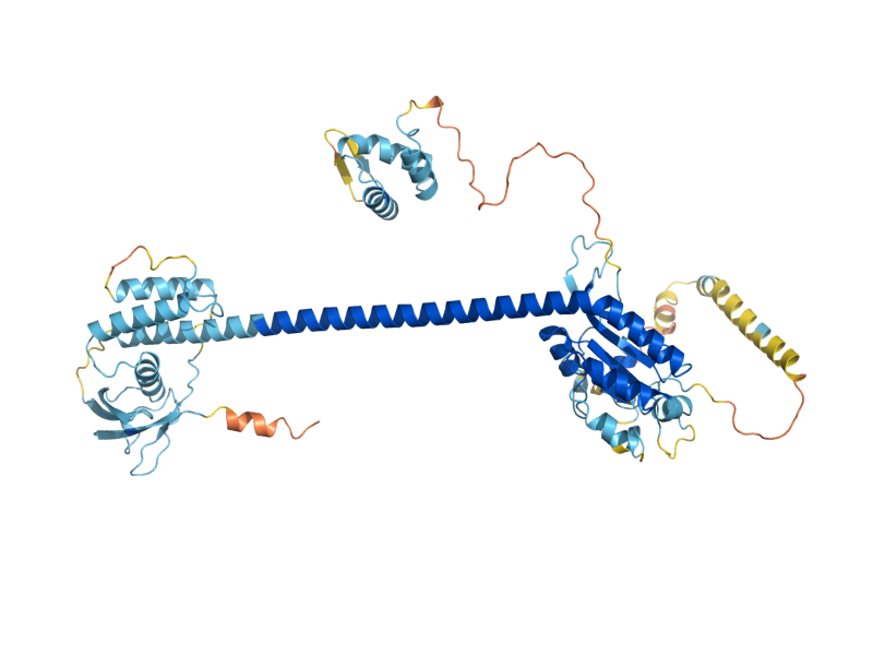 AlphaFold predicted structure of UBX2