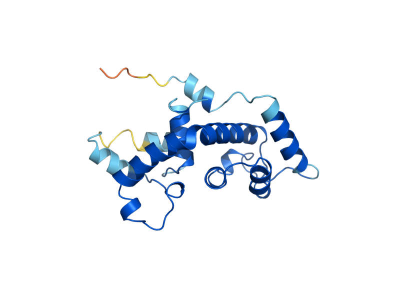 AlphaFold predicted structure of RAD33