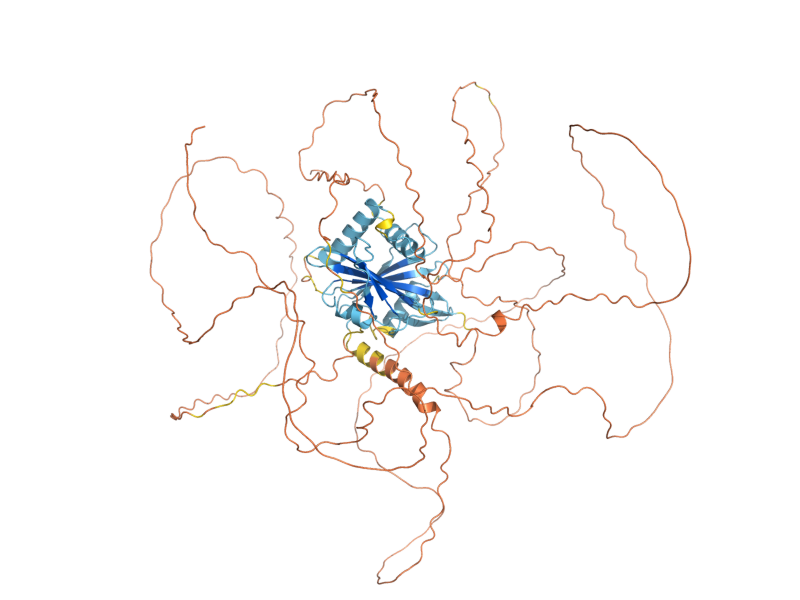 AlphaFold predicted structure of GIS4