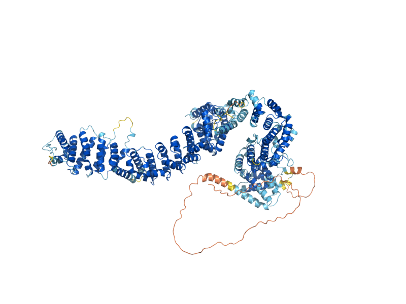 AlphaFold predicted structure of PDS5