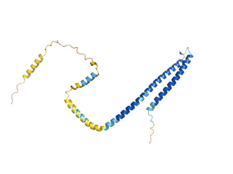 AlphaFold predicted structure of VPS20