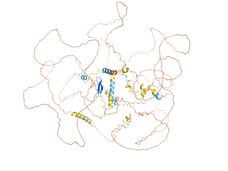AlphaFold predicted structure of SEG1