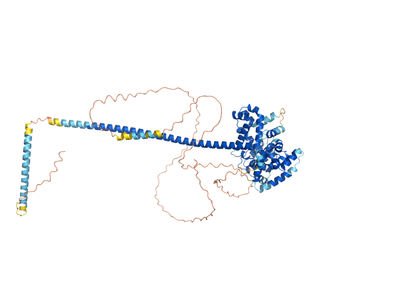 AlphaFold predicted structure of GYL1